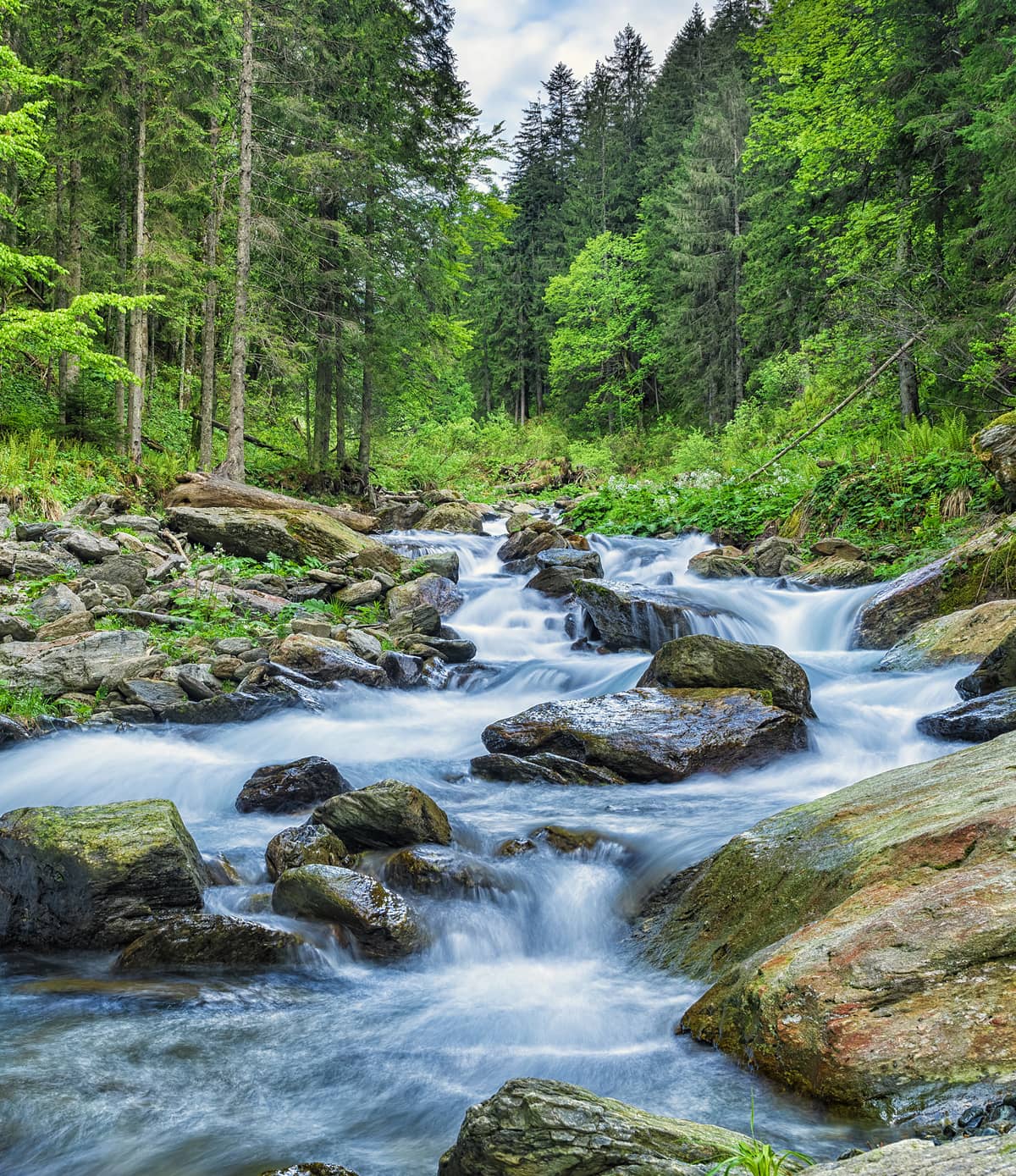 Aileron Manifesto | Build a Better Business