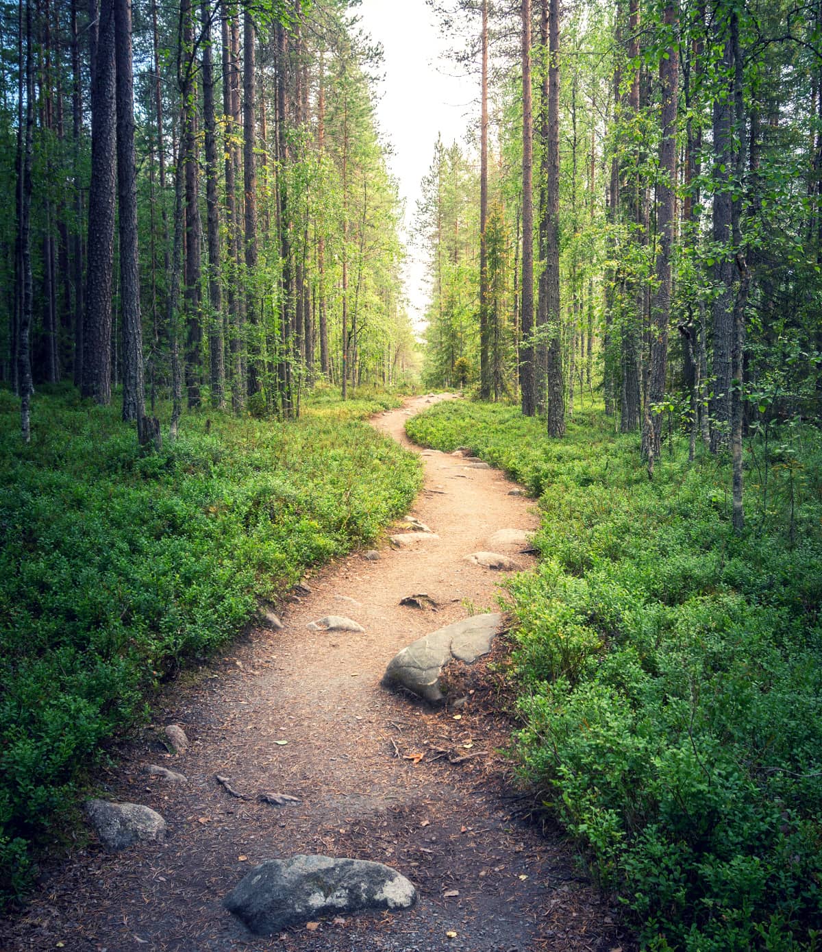 Aileron Manifesto | Building better businesses and better lives